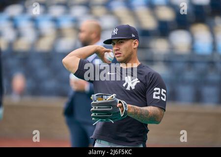 April 30 2022: New York second baseman Gleyber Torress (25) before the game with New York Yankees and Kansas City Royals held at Kauffman Stadium in Kansas City Mo. David Seelig/Cal Sport Medi Stock Photo