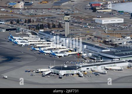 Ted Stevens Anchorage International Airport passengers terminal in Alaska. Multiple airplanes of Alaska Airlines together at Anchorage Airport. Stock Photo