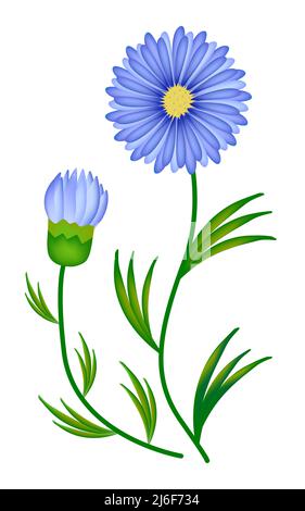 Asters with leaves, colorful gradient illustration Stock Vector