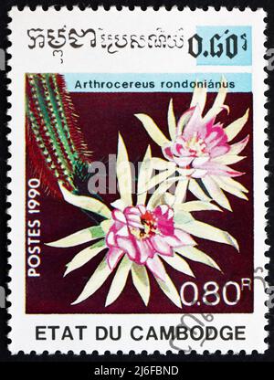 CAMBODIA - CIRCA 1990: a stamp printed in Cambodia shows Arthrocereus Rondonianus, is a Species of Cactus Endemic to Brazil, circa 1990 Stock Photo