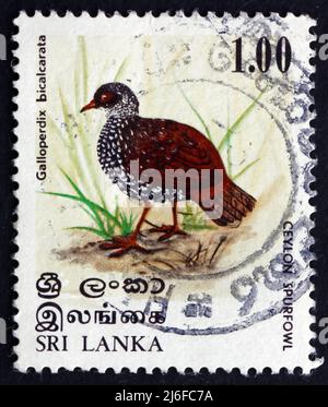SRI LANKA - CIRCA 1979: a stamp printed in Sri Lanka shows Sri Lanka Spurfowl, Galloperdix Bicalcarata, Bird, circa 1979 Stock Photo