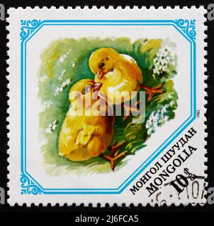 MONGOLIA - CIRCA 1982: a stamp printed in Mongolia shows Chicks, Baby Animals, circa 1982 Stock Photo