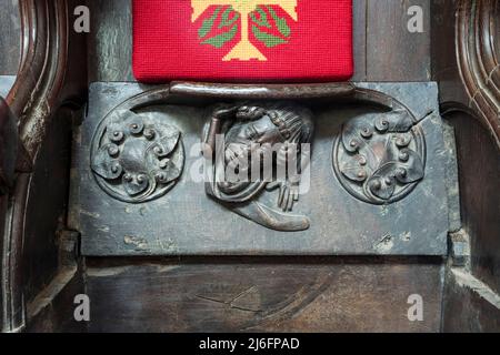 14th century misericord in St Margaret's church, King's Lynn. Stock Photo