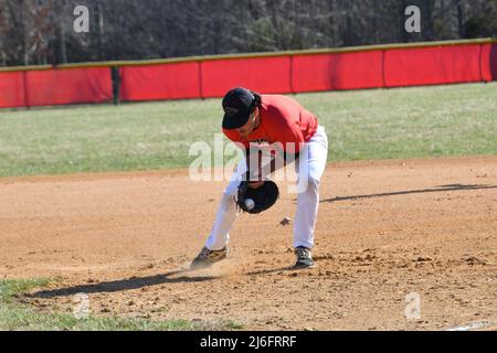 Baseball player on the field Stock Photo