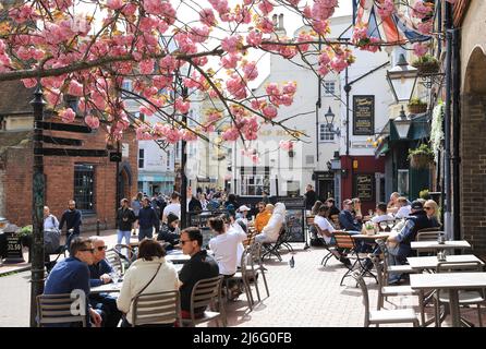 Spring blossom by the Druids Head pub on Brighton Place in the famous Lanes, East Sussex, UK Stock Photo