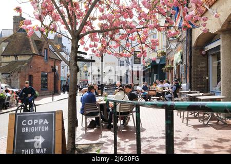 Spring blossom by the Druids Head pub on Brighton Place in the famous Lanes, East Sussex, UK Stock Photo