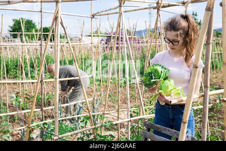 Teenage girl with freshly picked vegetables in family garden Stock Photo