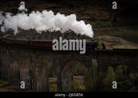 The Jacobite steam train on the Glenfinnan viaduct, Glenfinnan, Scotland, UK, as seen in Harry Potter Stock Photo