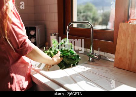 https://l450v.alamy.com/450v/2j6gbta/young-caucasian-woman-in-apron-washing-salad-in-kitchen-organic-healthy-eating-at-home-concept-2j6gbta.jpg