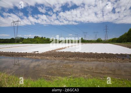Flooded and muddy agricultural field with protective sheeting after heavy rainfall in spring. Stock Photo
