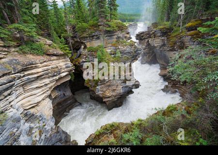 Raging Water in the Canadian Rockies at the Athabasca Glacier in Jasper National Park in Alberta Stock Photo