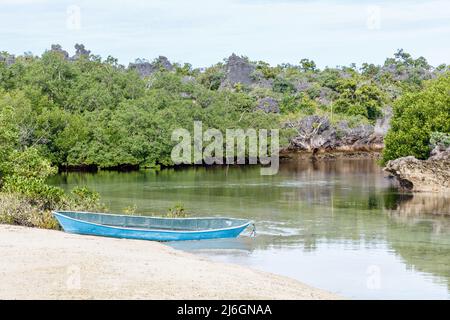 Mangrove forest in Rote Island, East Nusa Tenggara province, Indonesia Stock Photo