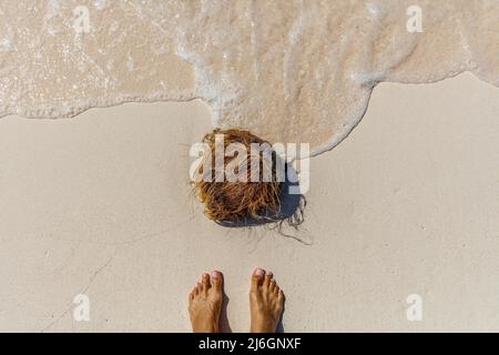 Feet on the beach near a fallen coconut. White sand Loedi Beach at Rote Island, East Nusa Tenggara province, Indonesia Stock Photo
