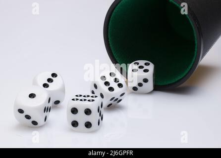 Close up of black cup tumbler mug with green felt cover and five white dice rolling out of it showing different numbers on white background as concept Stock Photo