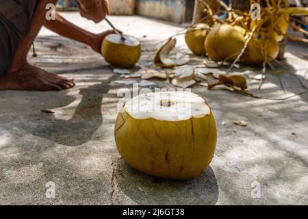 Young coconut with a hole for drinking. Man cutting coconuts with big knife on the background. Ndao island, Indonesia. Stock Photo