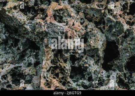 Abstract nature real photo background. Macro close up details dry rock crack stone solid foamy formations or lava volcanic frozen, pumice texture Stock Photo