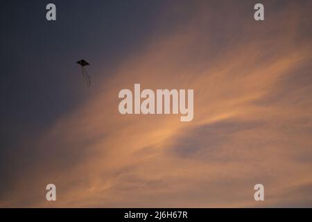 Lone kite is hovering in an evening sky against the background of sunlit cirrus clouds Stock Photo