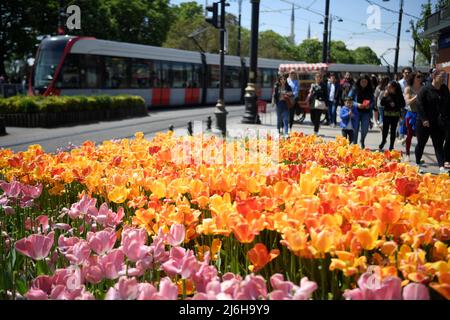 (220502) -- ISTANBUL, May 2, 2022 (Xinhua) -- A tram runs on a street in Istanbul, Turkey, May 1, 2022. Istanbul sees more tourists from all over the world as the weather gets warm. (Xinhua/Shadati) Stock Photo