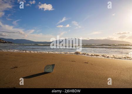 Big seashell on the sand on the beach in the back-light of sunset, background, close up Stock Photo