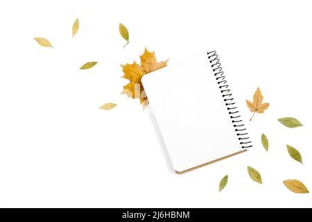 Flat lay composition. Notebook and dried leaves, isolated on white studio background wall for advertisement. Creative autumn, thanksgiving, fall, hall Stock Photo