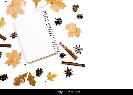 Creative autumn flat lay overhead top view cinnamon, coriander, dried maple leaves and notebook on white studio background copy space minimal style. F Stock Photo