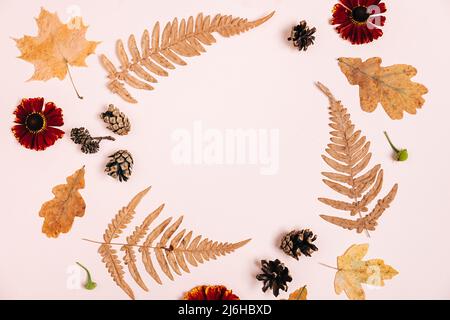 Flat lay composition with dry maple leaves, fern, red flowers and pine cones on pink color background for advertisement. Creative autumn, thanksgiving Stock Photo