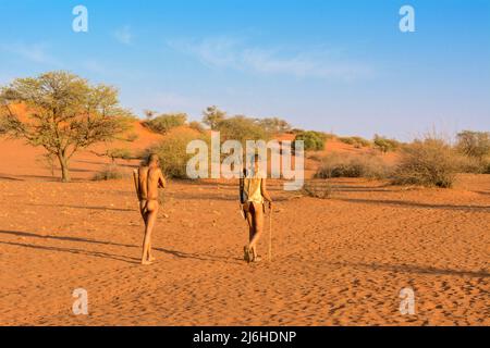 San (Saan) Bushmen, semi-nomadic indigenous hunter-gatherers, have lived in Southern Africa for 20,000 years, Kalahari Desert, Namibia, Africa Stock Photo