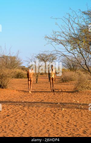 San (Saan) Bushmen, semi-nomadic indigenous hunter-gatherers, have lived in Southern Africa for 20,000 years, Kalahari Desert, Namibia, Africa Stock Photo