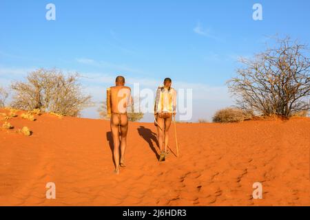 San (Saan) Bushmen, semi-nomadic indigenous hunter-gatherers, have lived in Southern Africa for 20,000 years, Kalahari Desert, Namibia, Africa Stock Photo