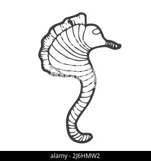 Seahorse - an inhabitant of the ocean - vector linear picture for coloring. Fish seahorse - underwater life for a coloring book. Outline. Stock Vector