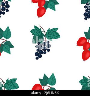 Sprig of dog rose and black currant seamless pattern. Fruit print, vector illustration in flat style Stock Vector