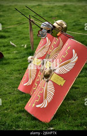 Roman weapons from the Legion VIII Augusta re-enactment group at No Man's Land 2022, Bodrhyddan Hall, Wales Stock Photo