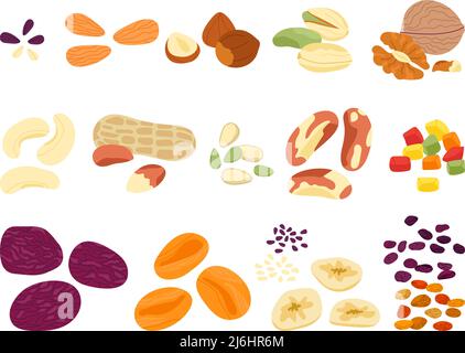 Dried fruits nuts and seed. Crunchy snack mix, various natural food, nuts and sunflower seeds. Different chips, almond, pistachio, cereal decent Stock Vector