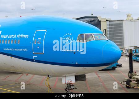 KLM Boeing 787 on view of landed airplane in a terminal of aircraft at Schiphol Amsterdam, Netherlands International Airport