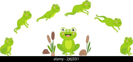 Frog jump. Animation of jumping animal, green cartoon frogs desogn. Aquatic toad in swamp with reeds. Wild neoteric vector slimy creature movement Stock Vector