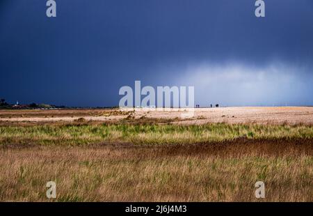 Storm clouds approaching over Dunwich Marshes in May Suffolk east Anglia England Stock Photo