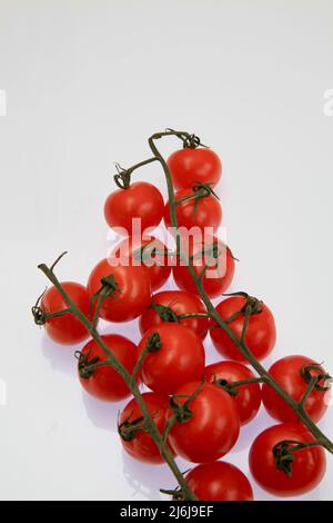 Tomatoes from The Isle of Wight May 2022 Stock Photo