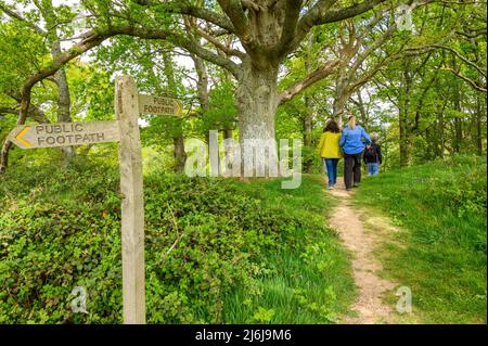 Public footpath. Wooden signpost in front of three adults walking past a large oak tree in a wood near Billingshurst in West Sussex, England. Stock Photo