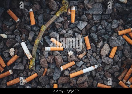 Cigarette butts on the floor in the city Stock Photo