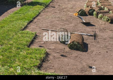 Installing new grass turfs from a roll - Garden building theme Stock Photo