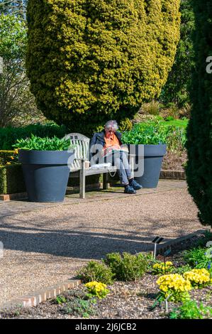 Senior lady sitting reading in garden. Stock Photo