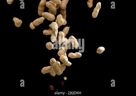 Realistic freeze motion of flying peanuts on black background. Stock Photo
