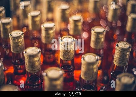 Ice, dessert wine bottles. Cabernet Franc bottles of wine in rows in hungarian wine cellar. Stock Photo