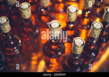 Ice, dessert wine bottles. Cabernet Franc bottles of wine in rows in hungarian wine cellar. Stock Photo