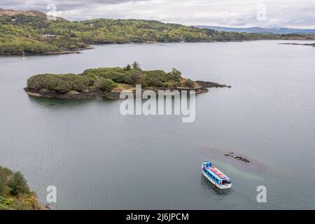 Glengarriff, West Cork, Ireland. 2nd May, 2022. The 2.15pm Harbour Queen sailing from Glengarriff to Garinish Island pauses at Seal Island to allow tourists view the seals. Met Éireann has forecast a dry and sunny week before heavy rain at the weekend. Credit: AG News/Alamy Live News.
