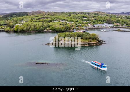 Glengarriff, West Cork, Ireland. 2nd May, 2022. The 2.15pm Harbour Queen sailing from Glengarriff to Garinish Island pauses at Seal Island to allow tourists view the seals. Met Éireann has forecast a dry and sunny week before heavy rain at the weekend. Credit: AG News/Alamy Live News.