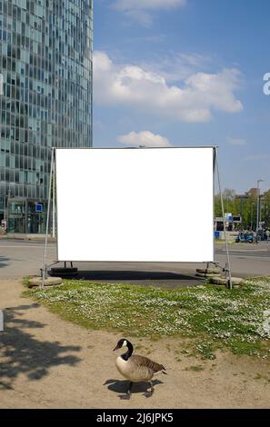 Blank large street billboard poster, free copy and picture space. Advertising, promotion mock up. Stock Photo