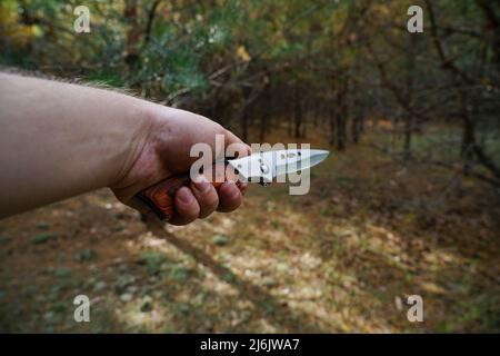hand holds a folding knife on a forest background Stock Photo