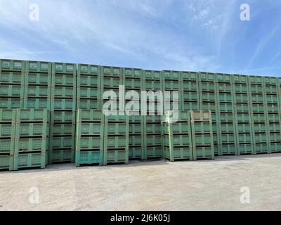 Huge stack of plastic crates of solid green color outside storage of vegetable empty containers under the sky. Stock Photo