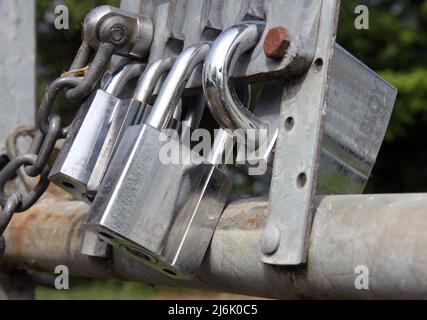 multiple padlocks on gate Stock Photo